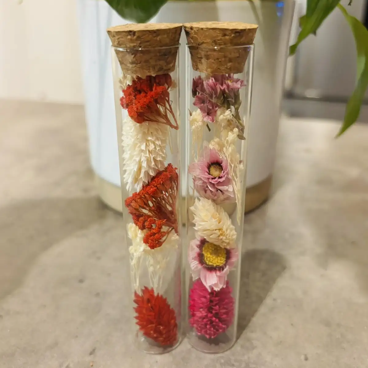 Tube en verre avec bouchon liège
